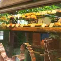MOROPAIN (モロパン)の写真_160163