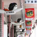 ニイミ洋食器店の写真_16031