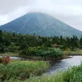睡蓮沼の写真_16035