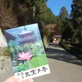 三室戸寺の写真_16037
