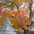 三室戸寺の写真_16039