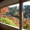 三室戸寺の写真_16045