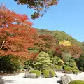 三室戸寺の写真_16046