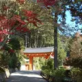 三室戸寺の写真_16047