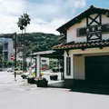 來宮神社の写真_160782