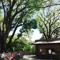 來宮神社の写真_160784