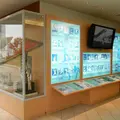 南海ホークスメモリアルギャラリーの写真_16080