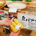 島の駅みやこの写真_161046