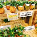 島の駅みやこの写真_161047