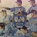 藤井寺市の写真_16132