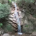 六甲山の写真_1617