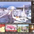 鳥取県立フラワーパークとっとり花回廊の写真_16190