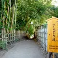 ひよどり坂の写真_16198