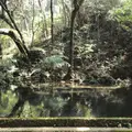冷水の池の写真_162034