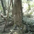 冷水の池の写真_162036