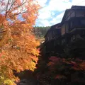 田の原川の写真_16208
