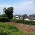 水俣病センター相思社の写真_162144