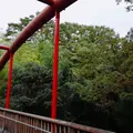 県立あいかわ公園の写真_162316