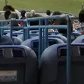 京セラドーム大阪の写真_16255