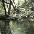冷水の池の写真_162605