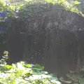 薩摩街道の写真_162609