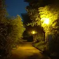 竹林園の写真_162630