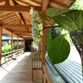 興正寺（尾張高野）の写真_16276