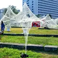 象の鼻パークの写真_162849