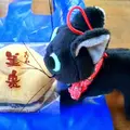 第十一チェックポイントの写真_164470