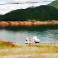宮ヶ瀬湖遊覧船案内所の写真_165994