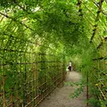 向島百花園の写真_1690