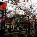 山谷堀公園の写真_169033
