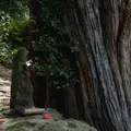 浄智寺の写真_1695