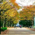 砧公園の写真_169863