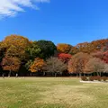 砧公園の写真_169864