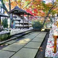 豪徳寺の写真_169868