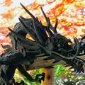 等々力不動尊の写真_169881