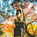 浄真寺の写真_171042