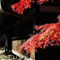 世田谷山観音寺の写真_171052