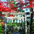 松陰神社の写真_171057