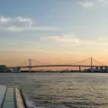 東京水辺ライン両国発着場の写真_171592