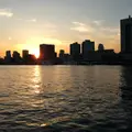 東京水辺ライン両国発着場の写真_171595