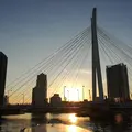 東京水辺ライン両国発着場の写真_171650