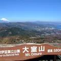 大室山の写真_172977