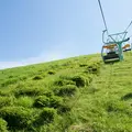 大室山の写真_173369