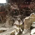 星野リゾート 界 津軽の写真_175487