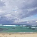 土盛海岸の写真_182495