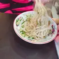 白龍の写真_182860