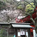 荏柄天神社の写真_183187