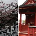 鶴岡八幡宮の写真_183193